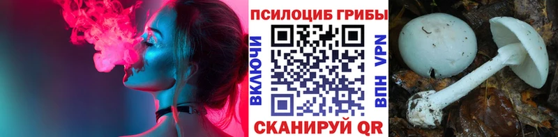 Псилоцибиновые грибы ЛСД Искитим